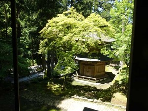 DSC05274_R