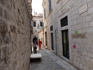 DSC02088_R