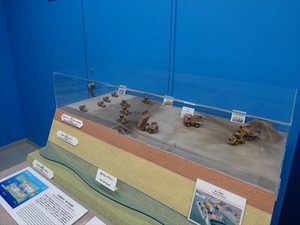 DSC07273_R