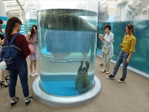 DSC08052_R