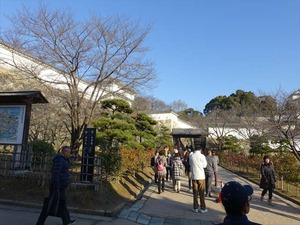 DSC01196_R
