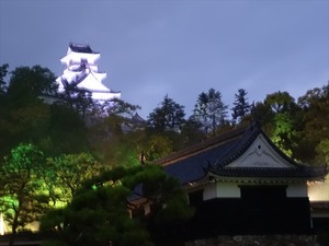 DSC01310_R