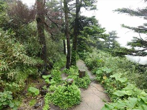DSC06458_R