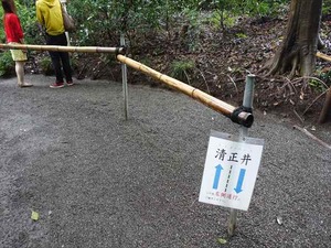 DSC02453_R