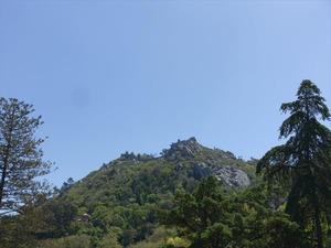 DSC06856_R