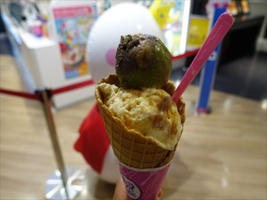 DSC07240_R