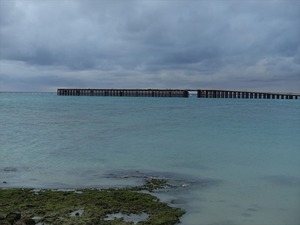 DSC07394_R