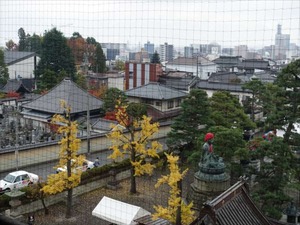 DSC01004_R