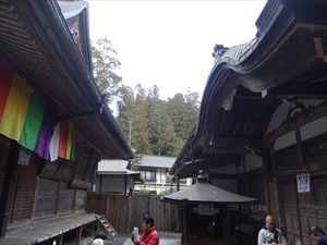 DSC02078_R