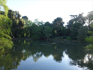 DSC04371_R