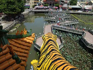 DSC00451_R