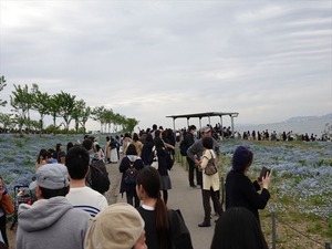 DSC00117_R