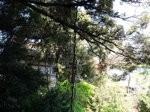 DSC05886_R