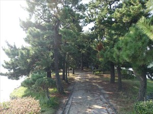DSC00049_R