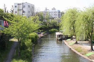 IMG_3622