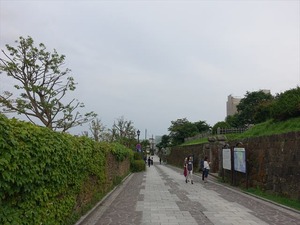 DSC00388_R