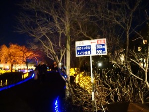 DSC01874_R