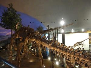 DSC05066_R