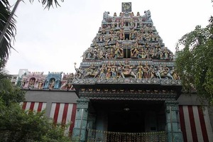 IMG_9687