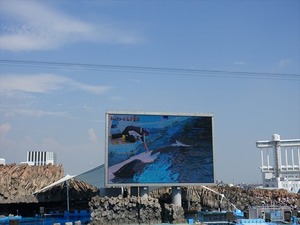 DSC03494_R