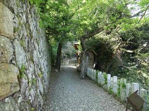 DSC05869_R