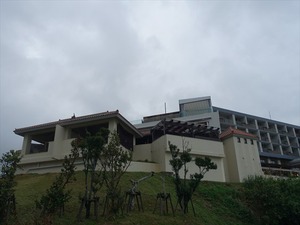 DSC03463_R