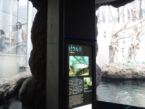 DSC05600_R