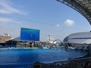 DSC03497_R
