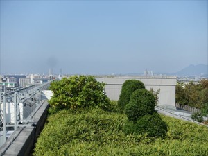 DSC00501_R