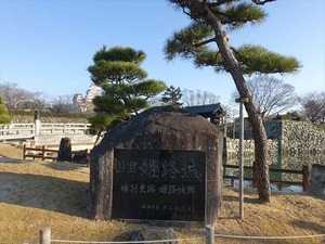 DSC01180_R