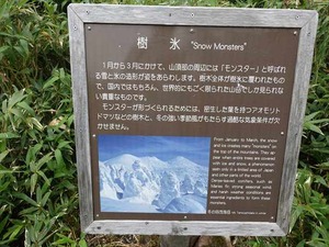 DSC06454_R