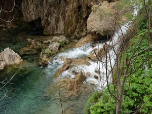 DSC00804_R