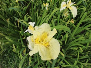 IMG_7120_R