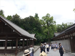 DSC07372_R