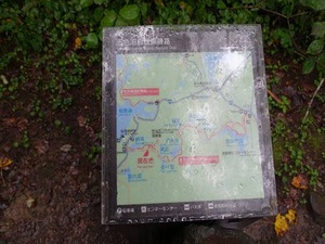 DSC08693_R