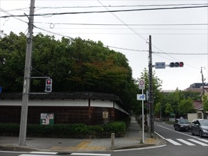 DSC07025_R