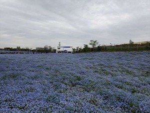 DSC00175_R