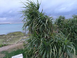 DSC07400_R