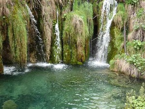 DSC00737_R