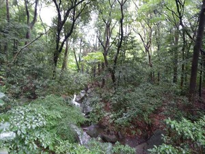 DSC02411_R
