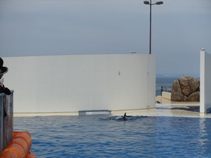 DSC05631_R