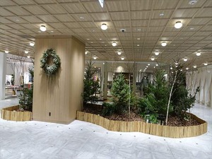 DSC05154_R