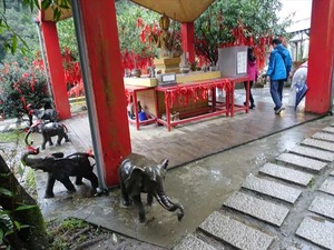 DSC06618_R