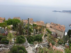 DSC09956_R