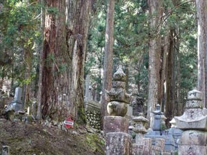 DSC02061_R