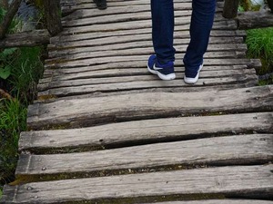 DSC00730_R