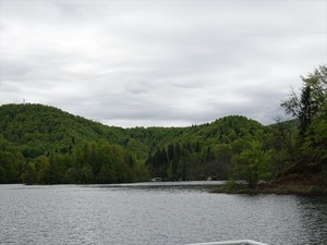DSC00703_R