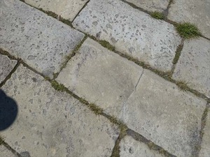DSC04920_R