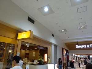 DSC09117_R