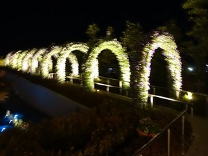 DSC02620_R